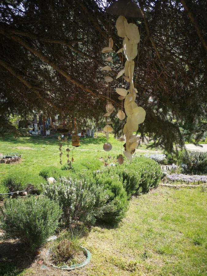 סמדרבו Apartman Snezana Jugovo מראה חיצוני תמונה